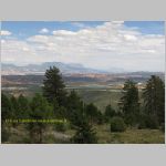 20060819_18DixieForest_001 copia.jpg